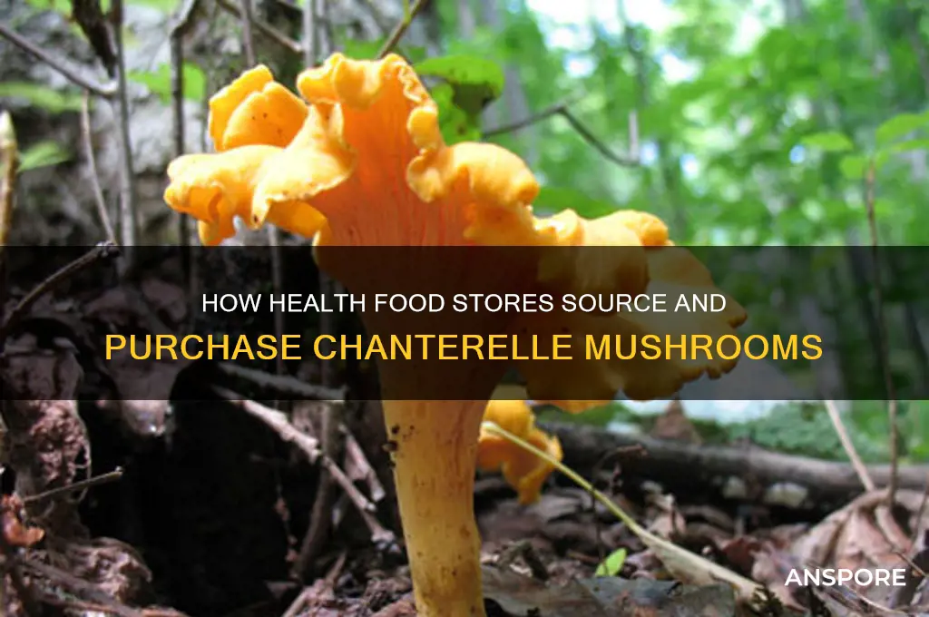 do how does health food stores buy chanterelle mushrooms
