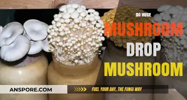 Giant Mushrooms: Do They Spawn More?