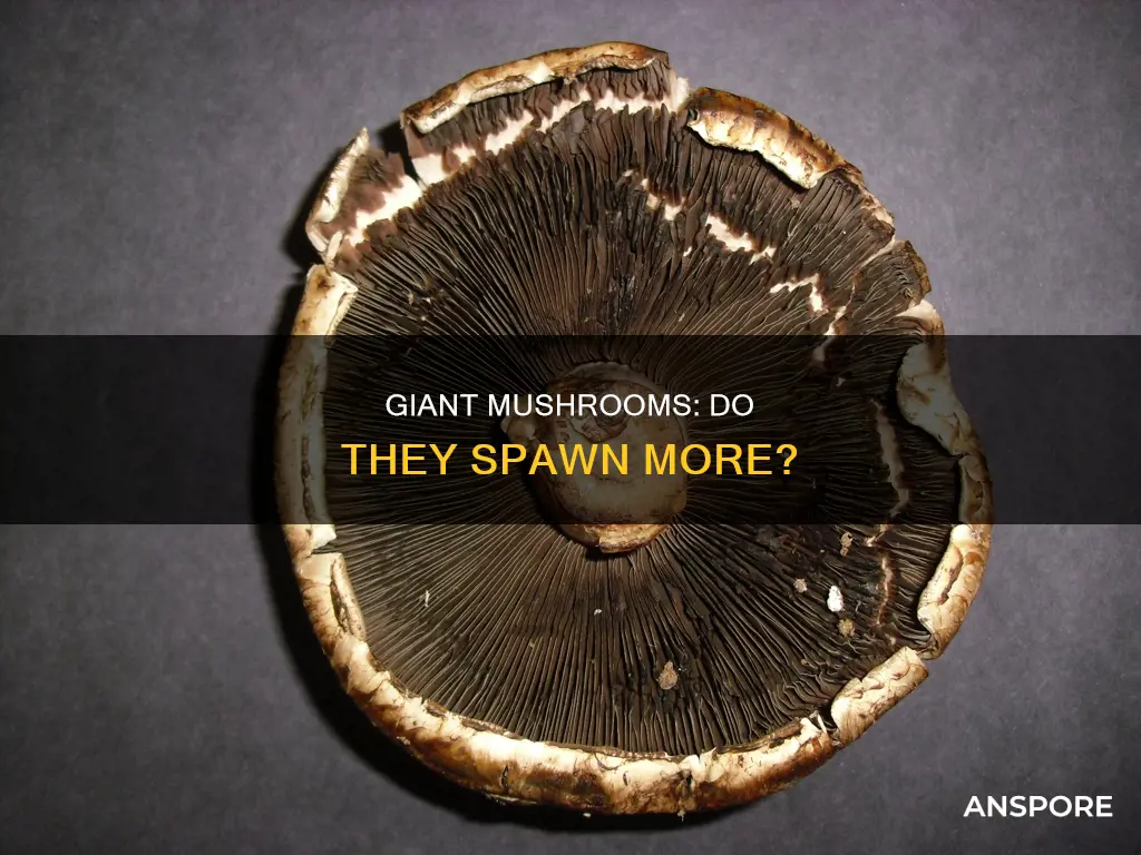do huge mushrooms drop mushrooms