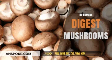 How Mushrooms Are Digested by Humans