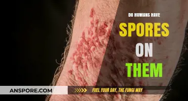 Do Humans Carry Spores? Unveiling the Microscopic Hitchhikers on Our Skin