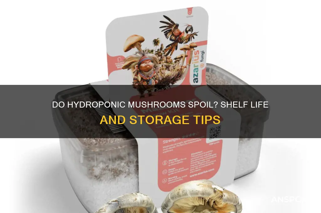 do hydroponic mushrooms go bad