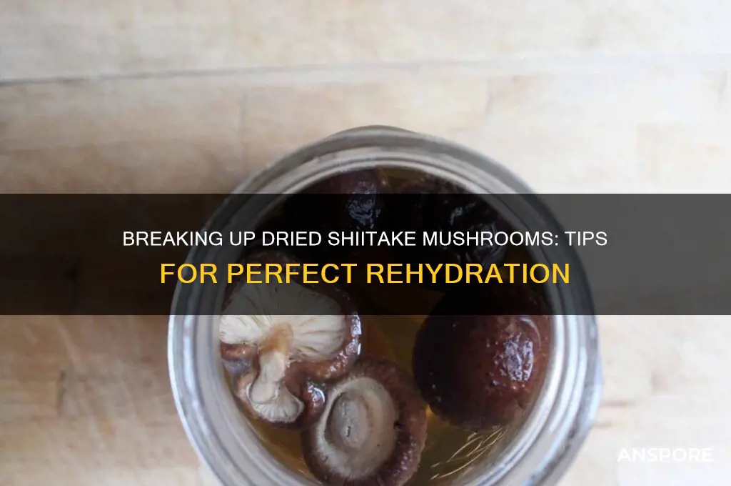 do i break up dried shitake mushrooms