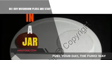 Should You Buy Mushroom Plugs and Start Growing in a Jar?