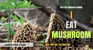 Mushrooms and Maggots: Unraveling the Truth About Your Fungal Feast