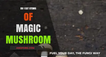 Should You Eat Magic Mushroom Stems? Risks, Benefits, and Safety Tips