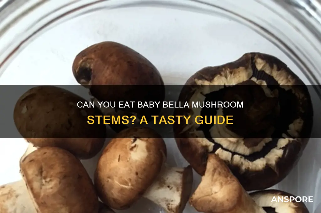 do i eat stems on baby bella mushrooms