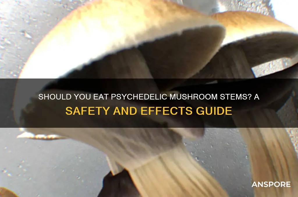 do i eat the stems from psychadelic mushrooms