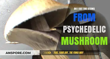 Should You Eat Psychedelic Mushroom Stems? A Practical Guide