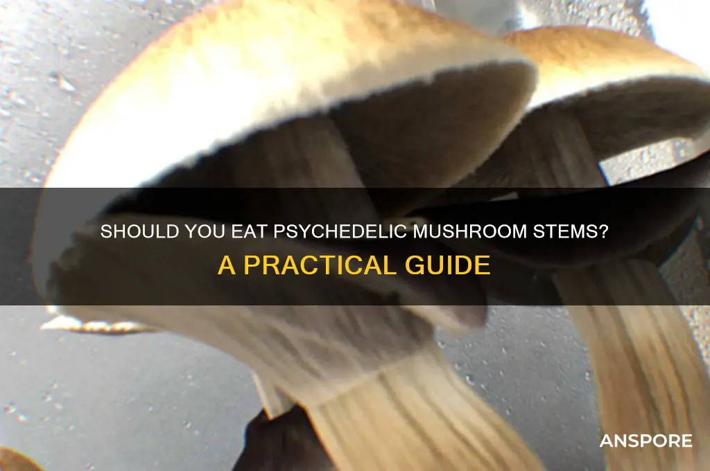 do i eat the stems from psychedelic mushrooms