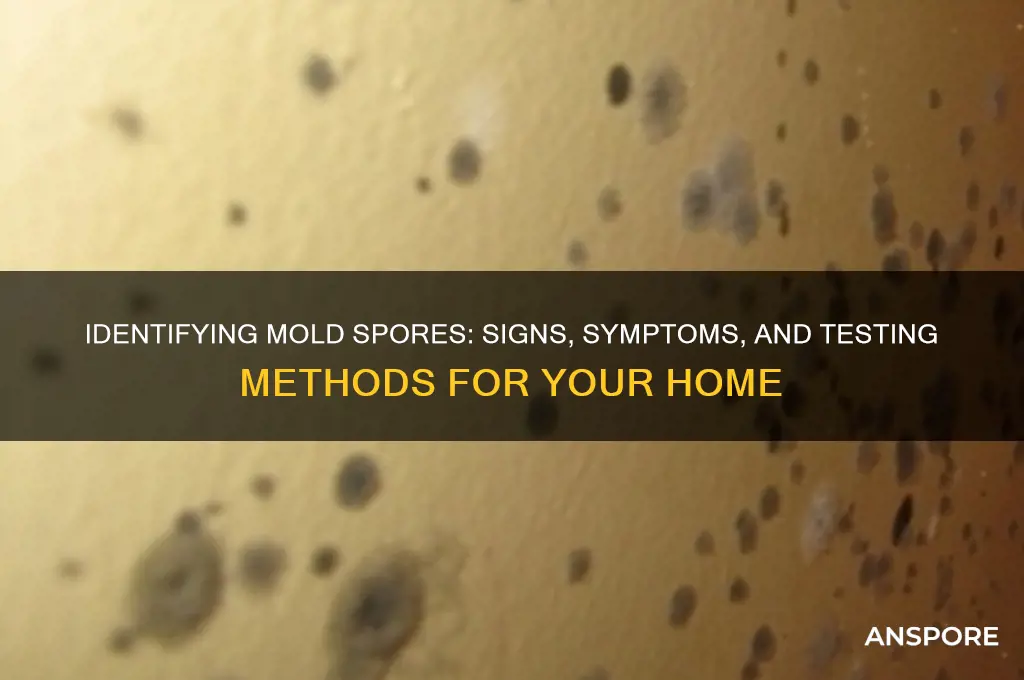 do i have mold spores