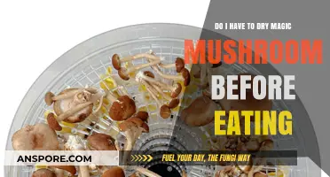 Should You Dry Magic Mushrooms Before Consumption? A Quick Guide