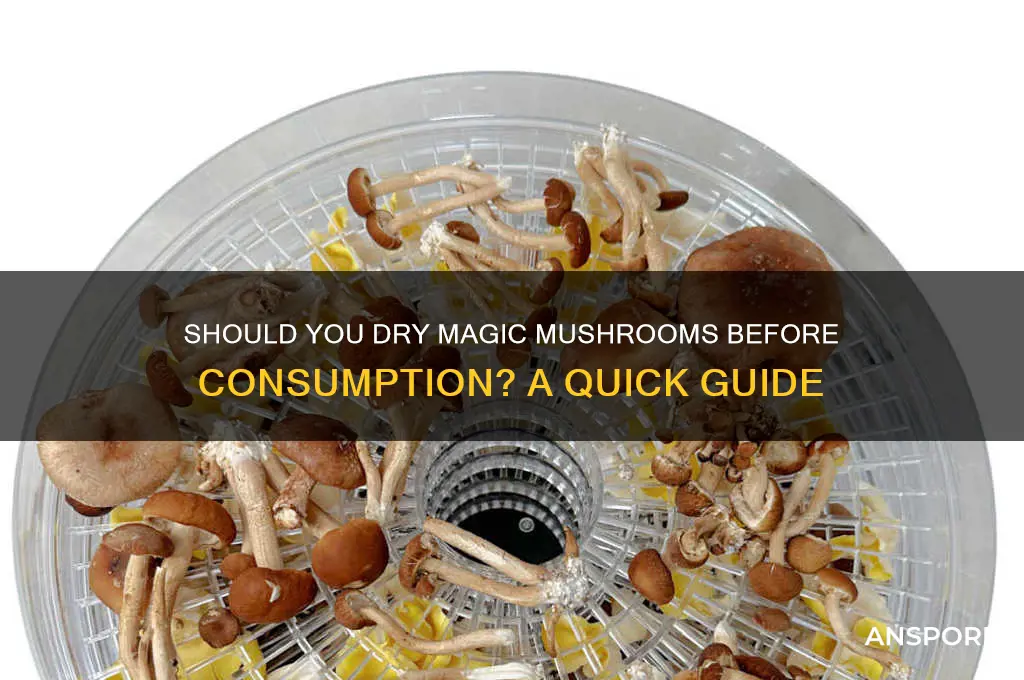do i have to dry magic mushrooms before eating