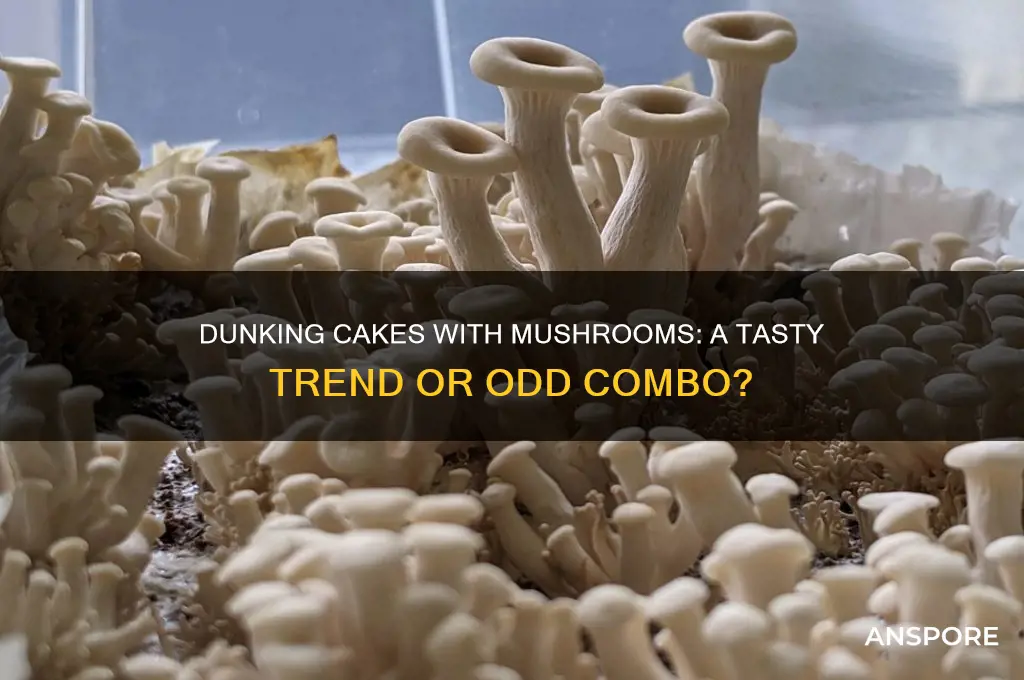 do i have to dunk cakes mushroom