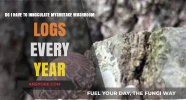 Shiitake Mushroom Logs: Annual Inoculation Necessary or Optional?