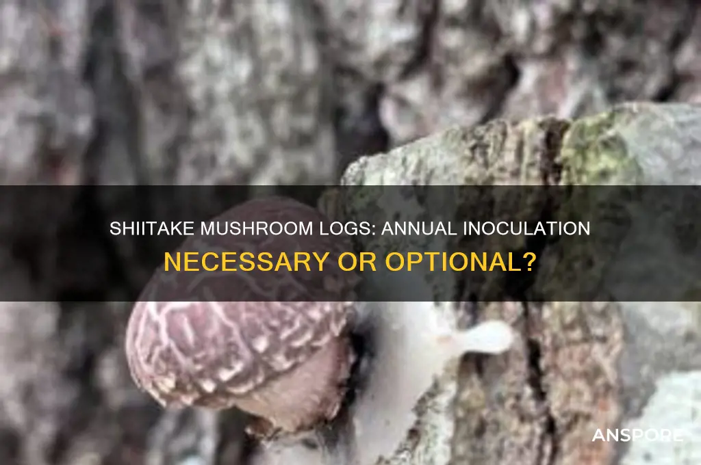 do i have to innoculate myshiitake mushroom logs every year