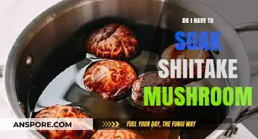 Should You Soak Shiitake Mushrooms? A Quick Prep Guide
