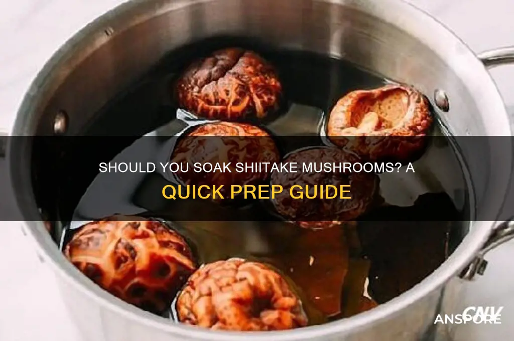do i have to soak shiitake mushrooms