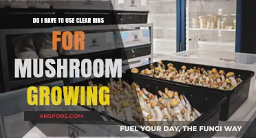 Clear Bins for Mushroom Growing: Are They Necessary or Optional?