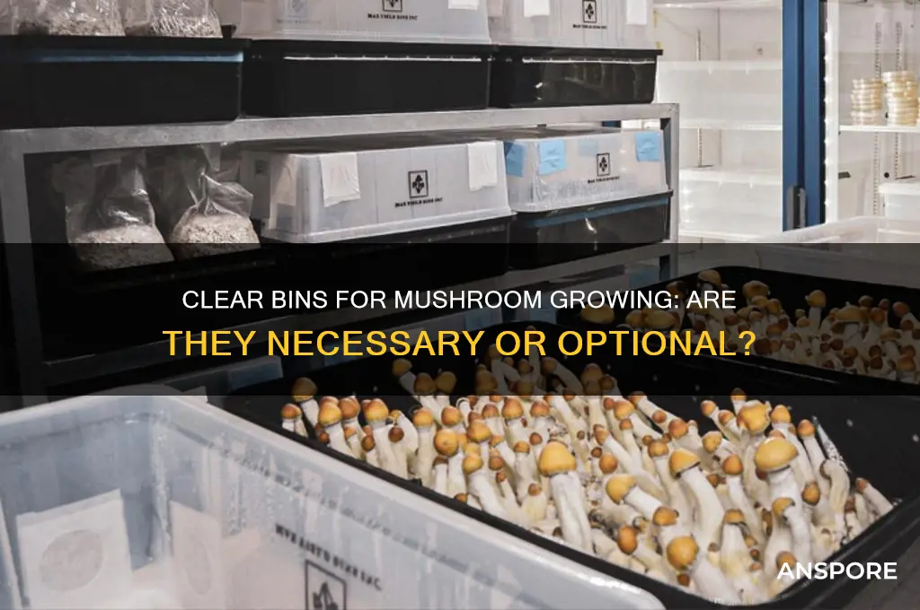 do i have to use clear bins for mushroom growing