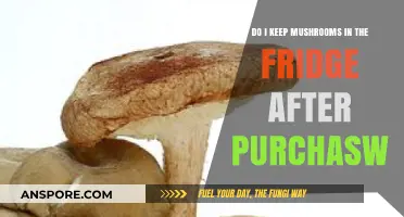 Should Mushrooms Be Refrigerated After Purchase? Storage Tips Revealed