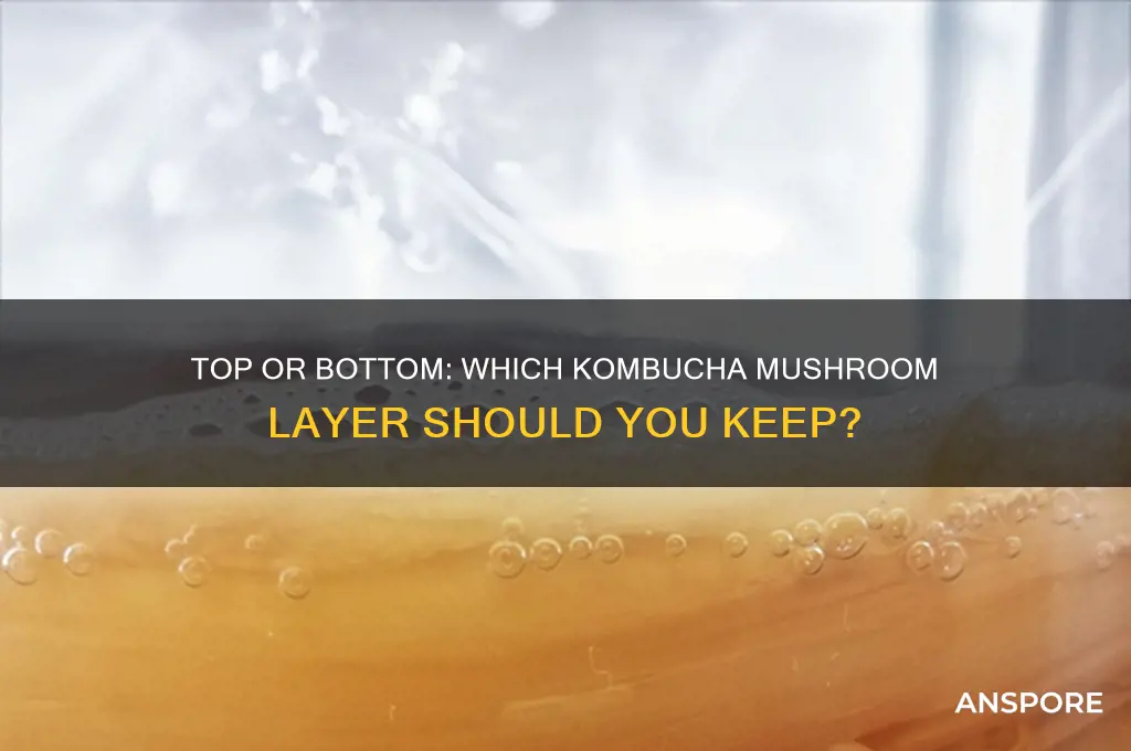 do i keep top kombucha mushroom or bottom