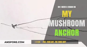 Mushroom Anchor Chains: Essential or Optional for Secure Boating?