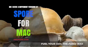 Spore on Mac: Which Version Do You Really Need?