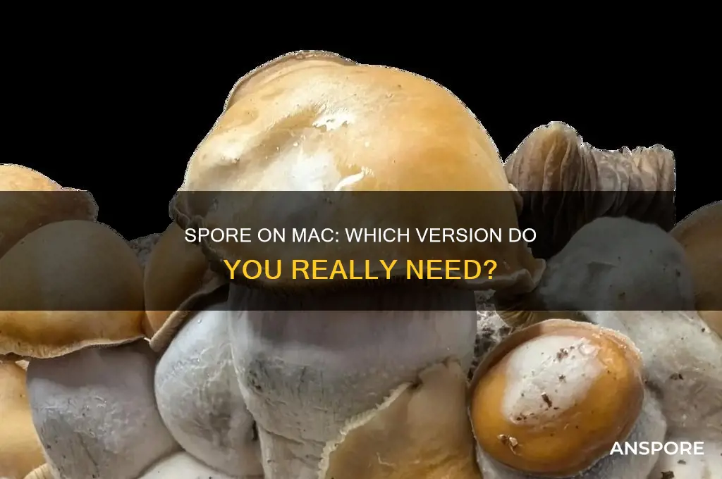 do i need a different version of spore for mac