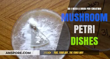 Mushroom Petri Dish Setup: Is a Hood Essential for Success?