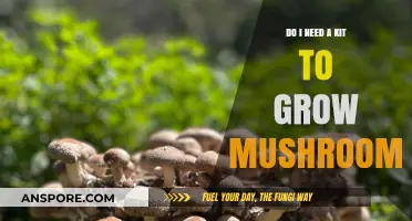 Mushroom Growing Made Easy: Do You Really Need a Kit?