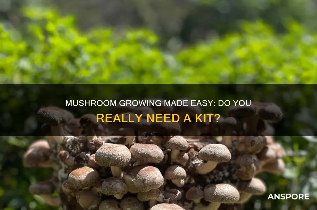 do i need a kit to grow mushrooms