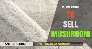 Selling Mushrooms Legally: Do You Need a License to Start?