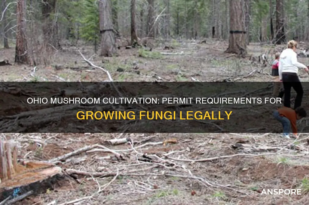 do i need a permit to grow mushroom ohio
