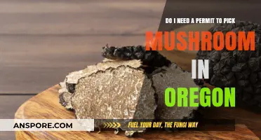 Oregon Mushroom Foraging: Permit Requirements for Wild Mushroom Picking