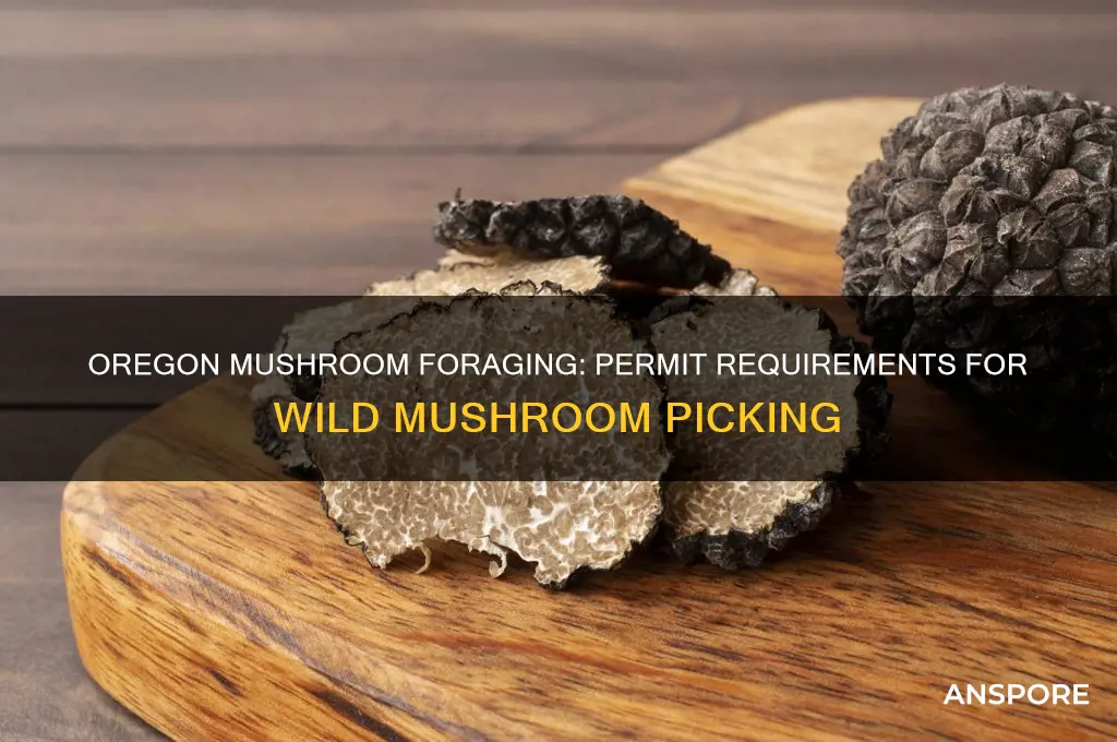 do i need a permit to pick mushrooms in oregon