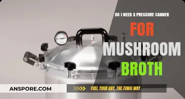 Pressure Canner for Mushroom Broth: Essential or Optional?