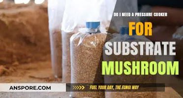 Substrate Mushroom Cultivation: Is a Pressure Cooker Essential?