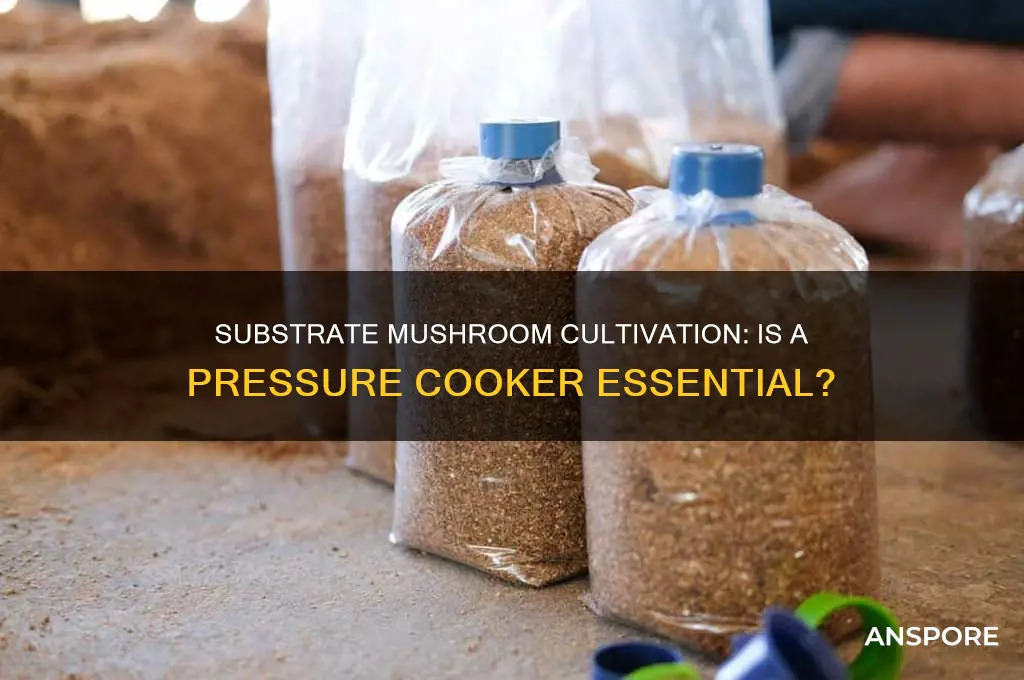 do i need a pressure cooker for substrate mushroom