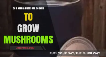 Can You Grow Mushrooms Without a Pressure Cooker? Find Out!
