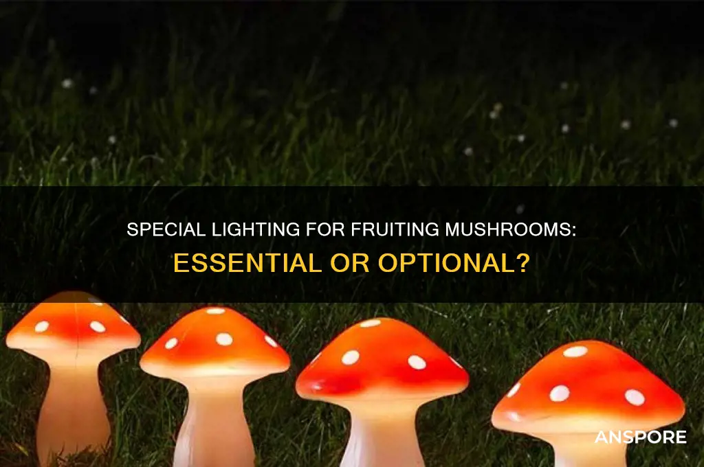 do i need a special light to fruit mushrooms