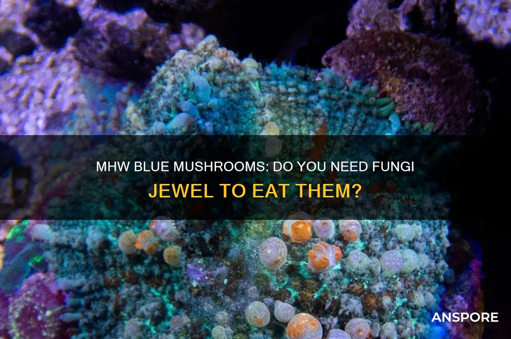 do i need fungi jewel to eat blue mushrooms mhw