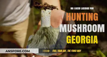 Georgia Mushroom Hunting: License Requirements and Legal Guidelines Explained