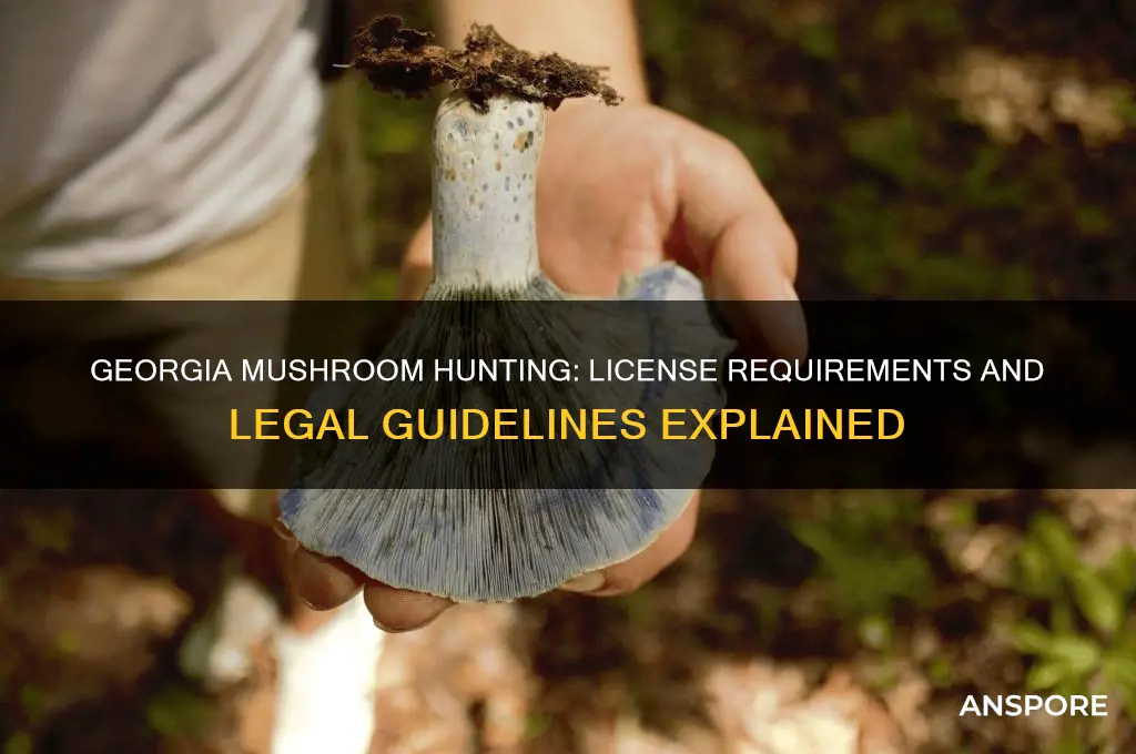 do i need license for hunting mushroom georgia