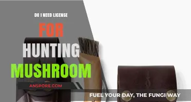 Hunting Mushrooms: Do You Need a License to Forage Legally?