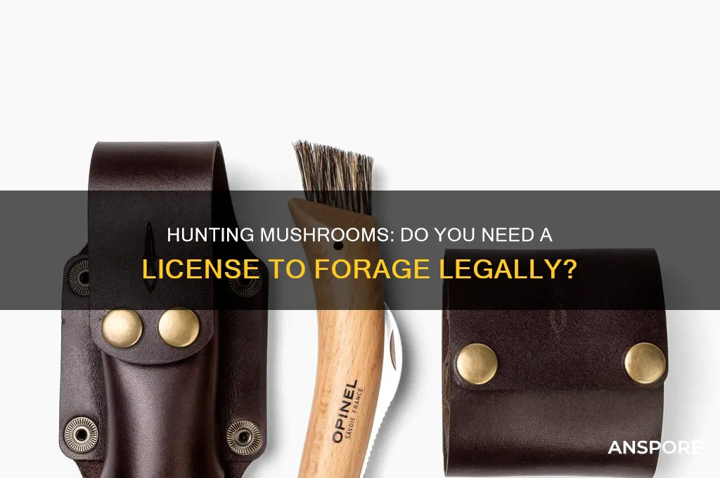 do i need license for hunting mushroom