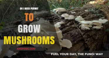 Permits for Mushroom Cultivation: What You Need to Know