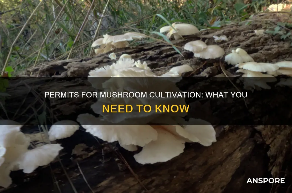 do i need permit to grow mushrooms