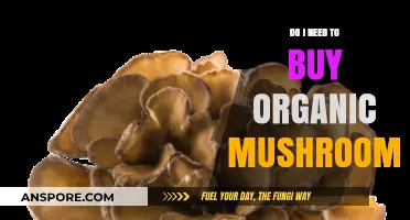 Organic Mushrooms: Are They Worth the Extra Cost for Your Health?