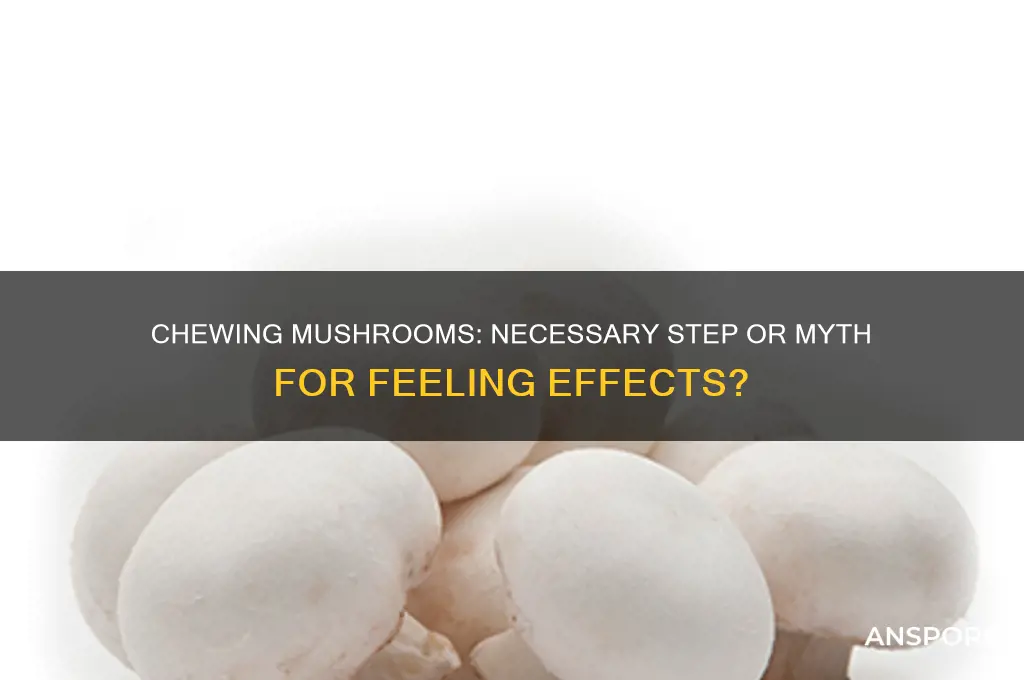 do i need to chew mushrooms to feel it